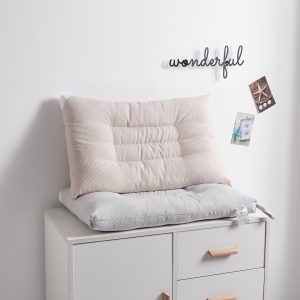 IMG_8001 Skin-Friendly Sleep Pillow