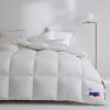 Siberian White Goose Down Quilt – 220x240cm (All-Season Weight)